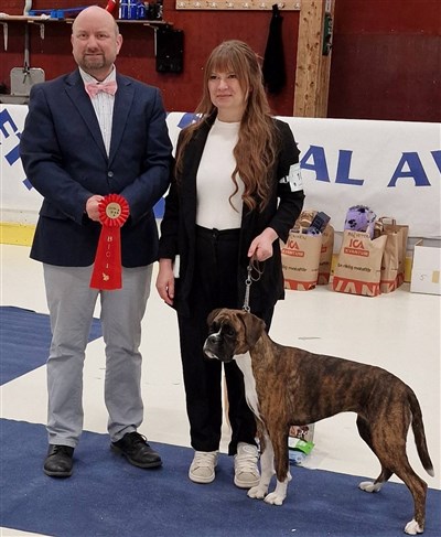 Poppy och Hanna, BIR i Ludvika